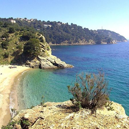 "Ti Sable" Agreable Studio Climatise, Jolie Vue Mer, Piscine A Cavalaire Sur Mer Golfe De St-Tropez Ngoại thất bức ảnh
