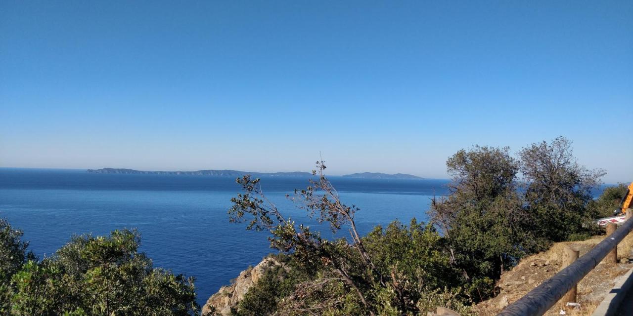 "Ti Sable" Agreable Studio Climatise, Jolie Vue Mer, Piscine A Cavalaire Sur Mer Golfe De St-Tropez Ngoại thất bức ảnh