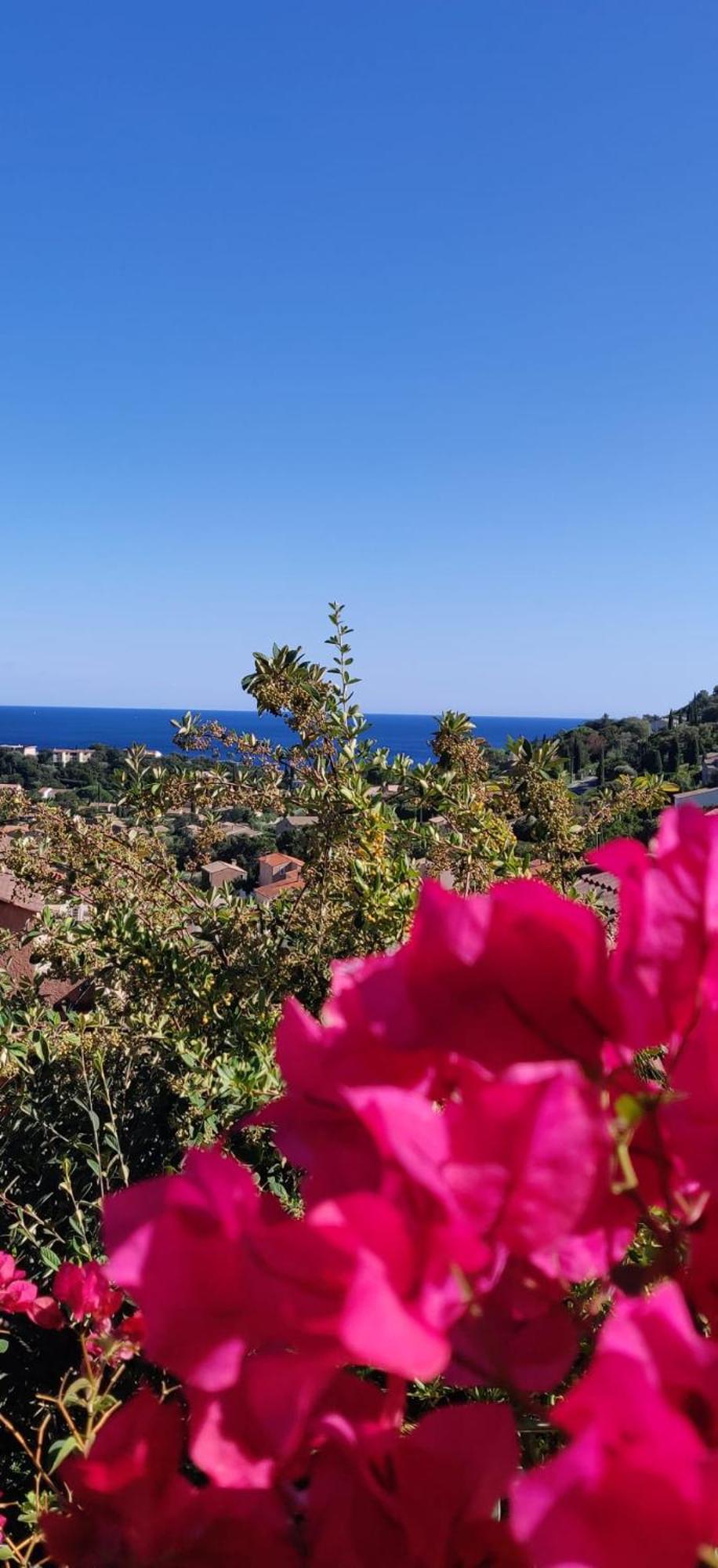 "Ti Sable" Agreable Studio Climatise, Jolie Vue Mer, Piscine A Cavalaire Sur Mer Golfe De St-Tropez Ngoại thất bức ảnh